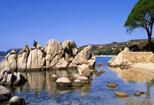 开云平台-河床赛前训练公开，备战世俱杯冲刺