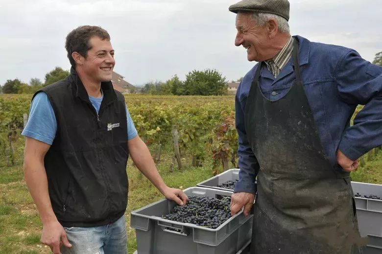 开云下载-勃艮第俱乐部连续失利，教练组面临调整压力的简单介绍