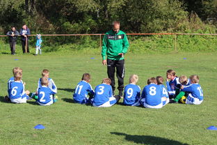 开云平台-帕尔梅拉斯防守体系稳固，力求半决赛再创佳绩