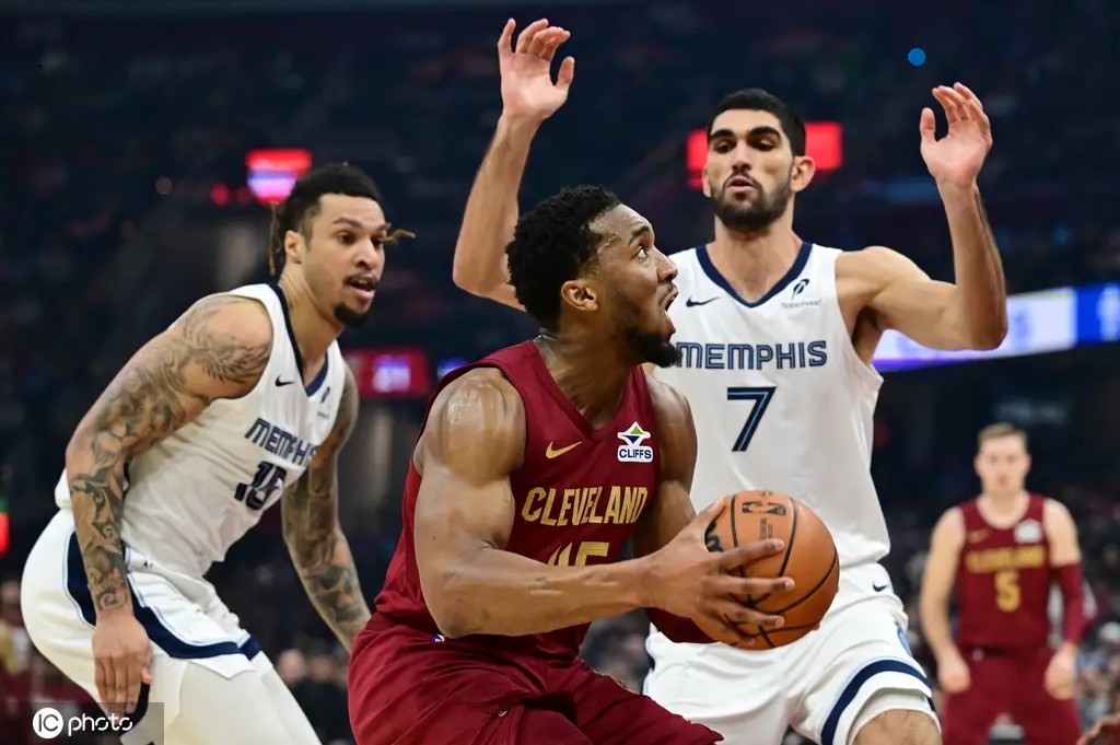 包含灰熊主场捍卫尊严，成功击败黄蜂的词条