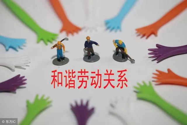 草根足球聚焦民生，促进社会和谐